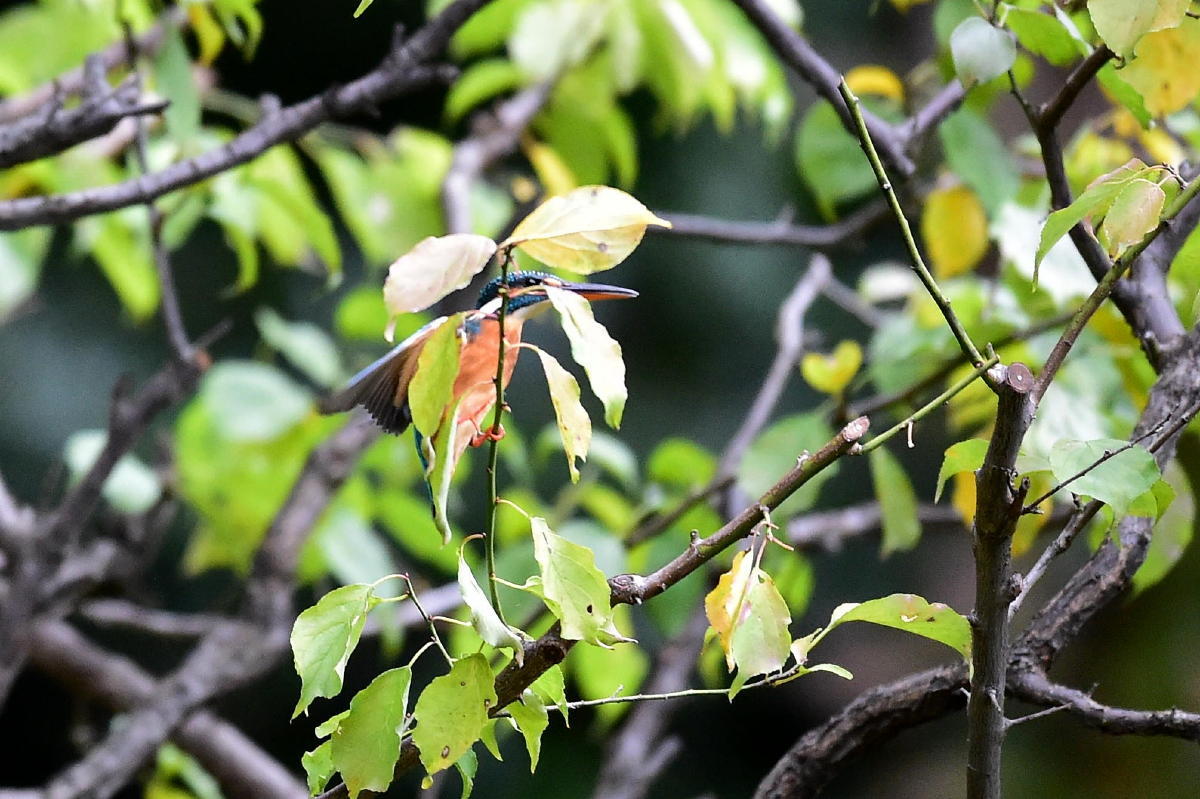 c0144588_07341446.jpg