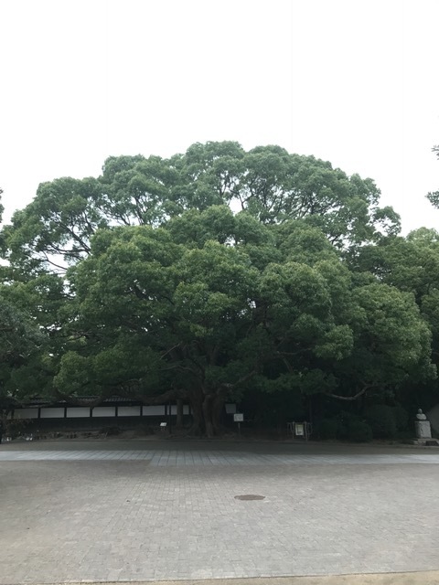 須磨離宮公園_f0204295_19270466.jpg