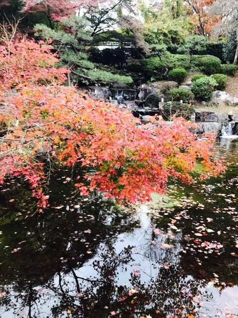 須磨離宮公園_f0204295_19503494.jpg