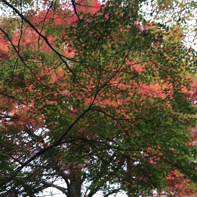 須磨離宮公園_f0204295_19530667.jpg