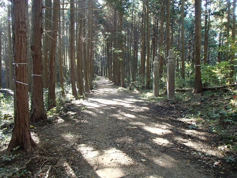 高野山町石道_b0039898_1354928.jpg