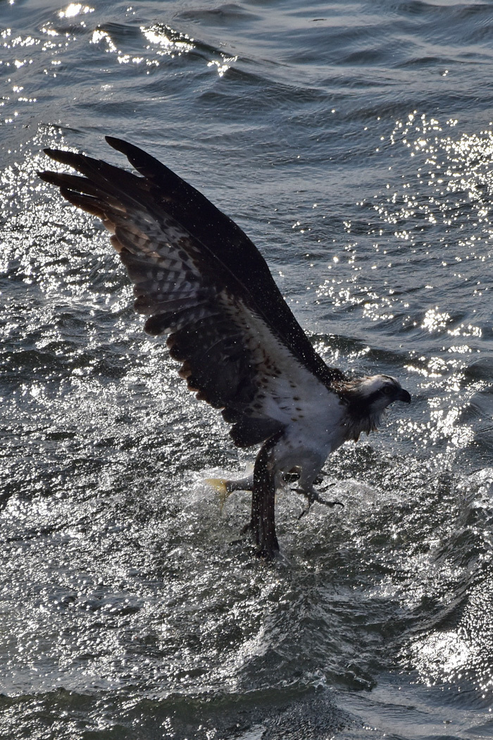 c0049299_22293485.jpg