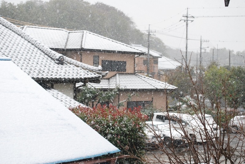 何と！１１月の積雪。。。_e0025300_2371176.jpg