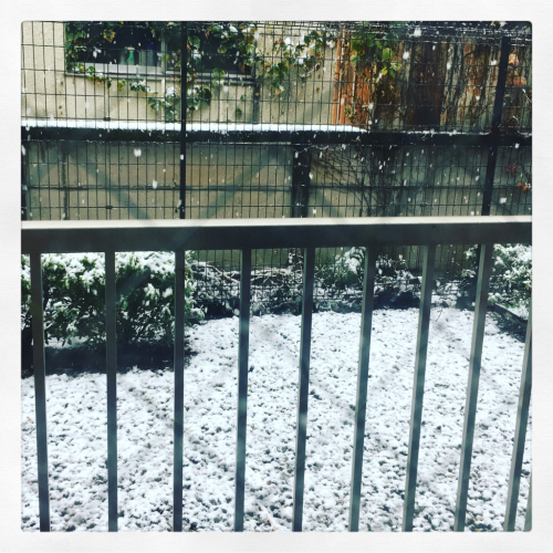 東京の街に雪が降った_e0123401_17452761.jpg