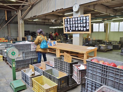 今年もリンゴ狩りに長野県へ_c0336902_18244651.jpg