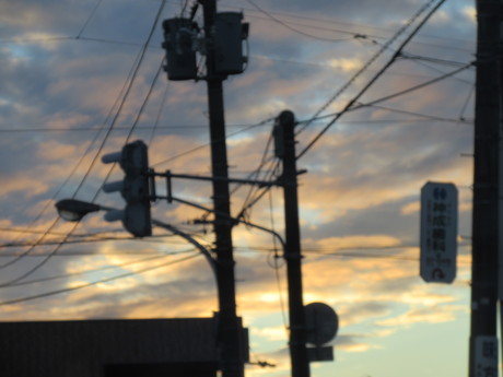 a0203003_2193289.jpg