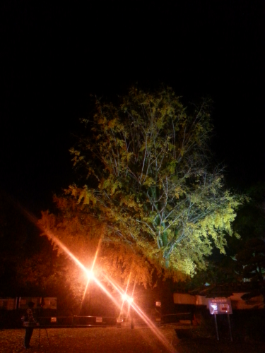 c0368903_23020560.png