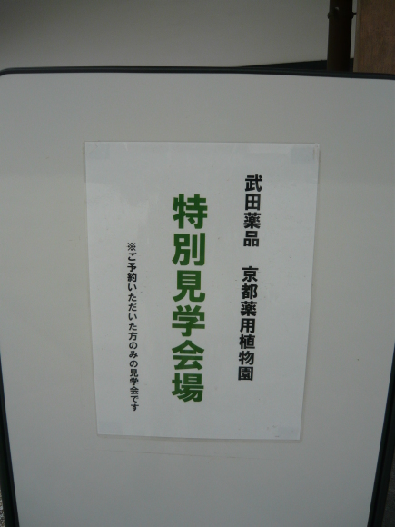 a0139007_11352174.jpg