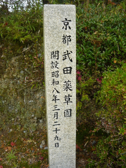 a0139007_11374261.jpg