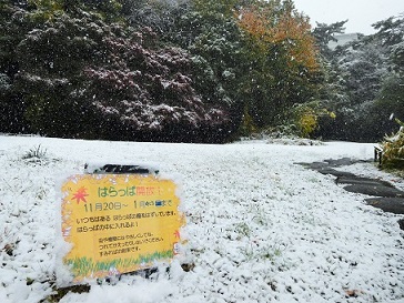 紅葉に雪_b0049307_10242524.jpg
