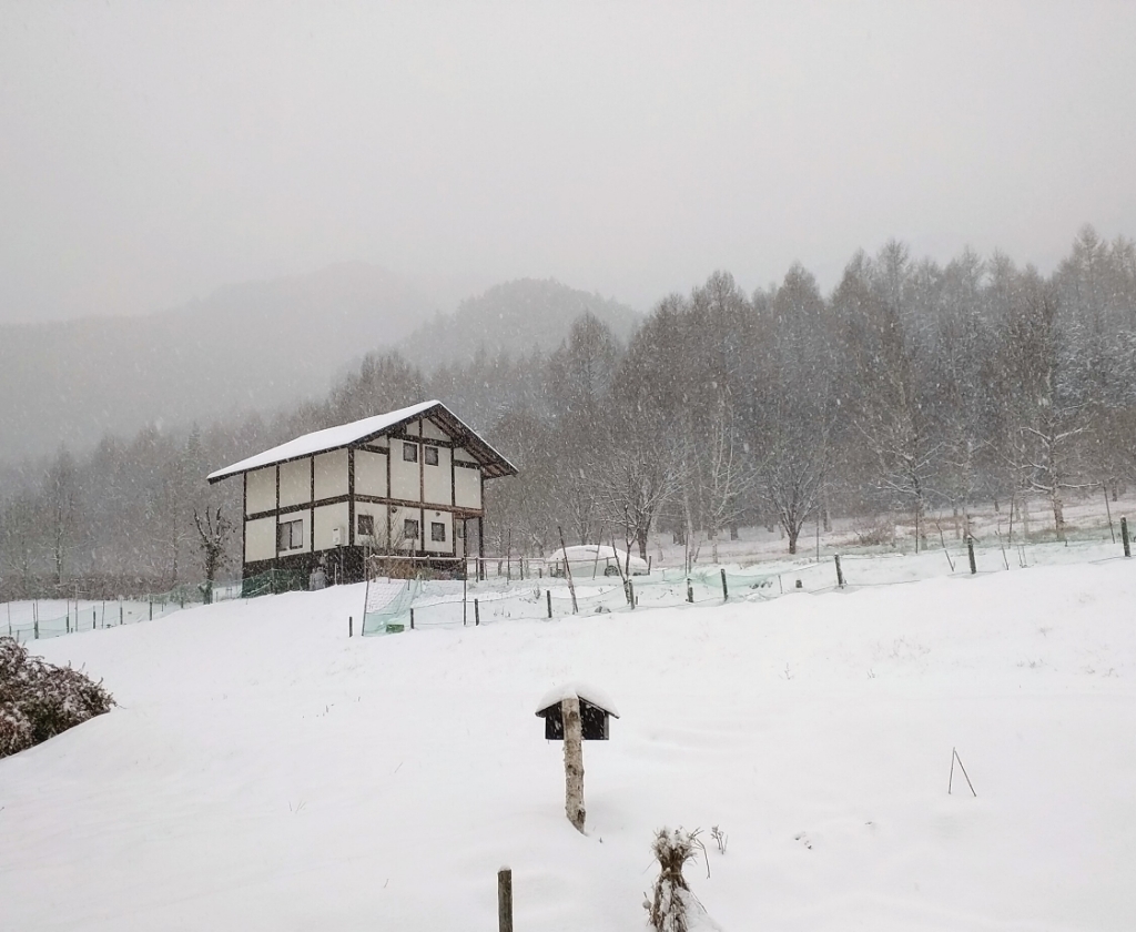 f0161708_20252920.jpg