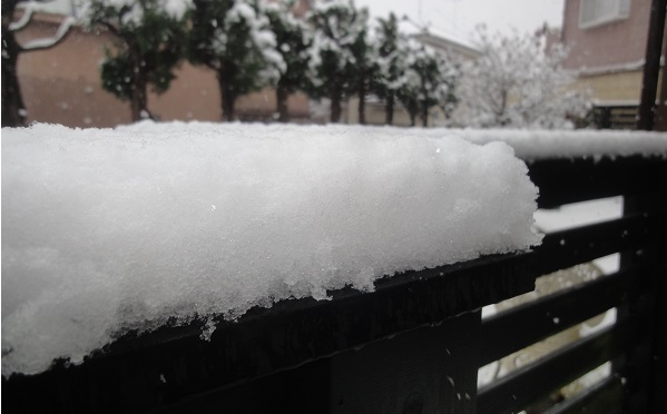 ♪紅葉と雪のコラボレーション_f0057509_22030655.jpg