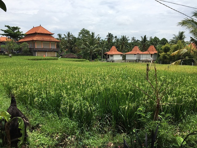 d0224712_10523128.jpg