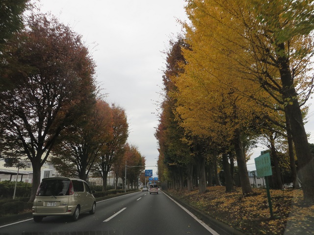 d0351213_8113226.jpg