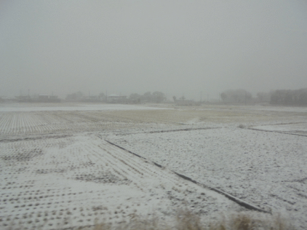 b0017215_18312642.gif