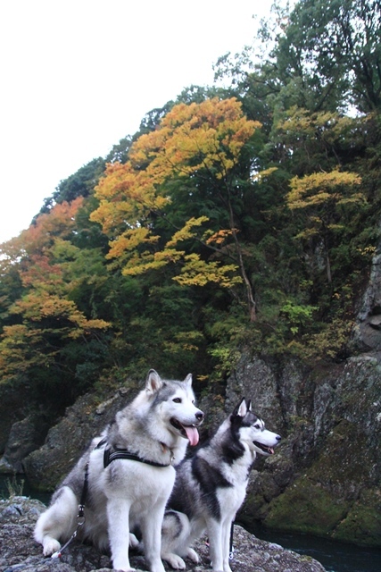 b0207615_16410630.jpg