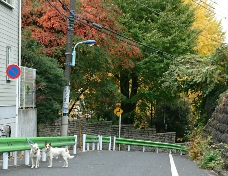 b0274815_09041604.jpg