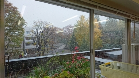 b0274815_09042555.jpg