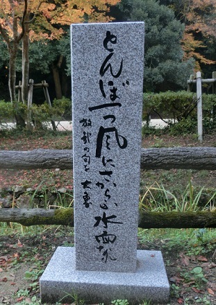 b0181818_14084934.jpg