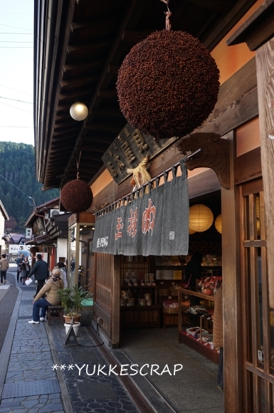 長良川鉄道 ~ゆる~り眺めて清流列車 郡上八幡~_d0348118_09365873.jpg