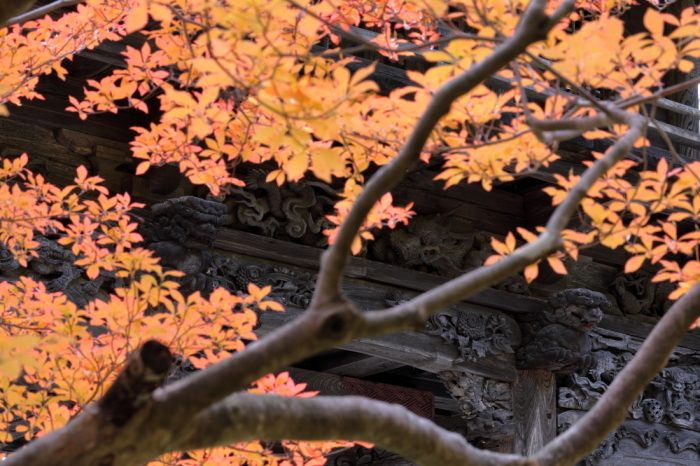 朱の門～霊松寺の山門とドウダンツツジ～_d0349418_18182604.jpg