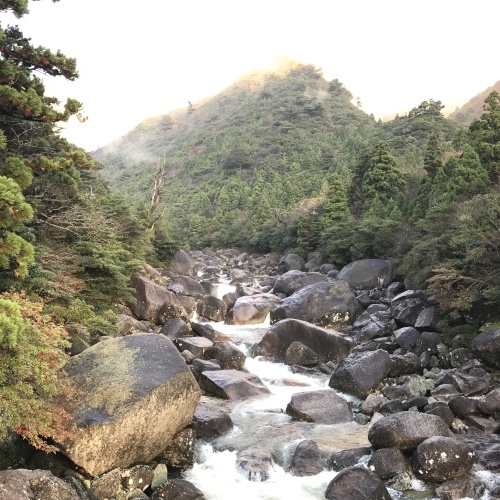 e0353719_19072921.jpg