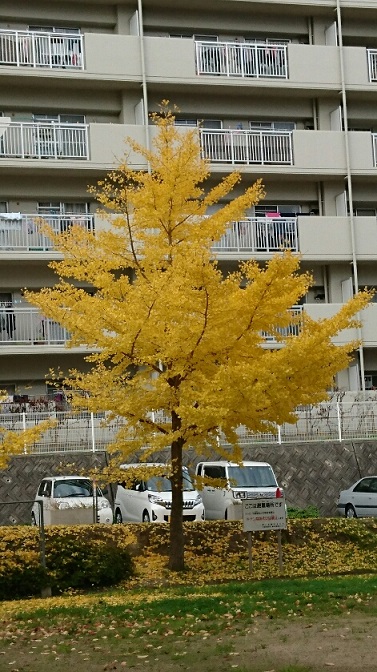 f0228619_1111250.jpg