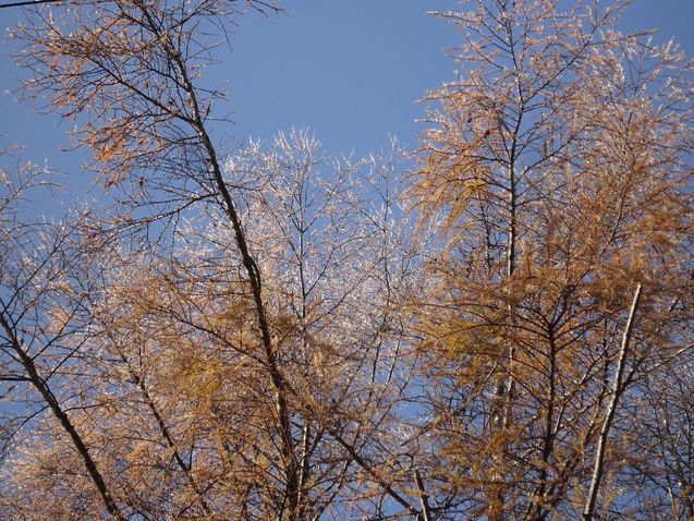 b0248920_222145.jpg