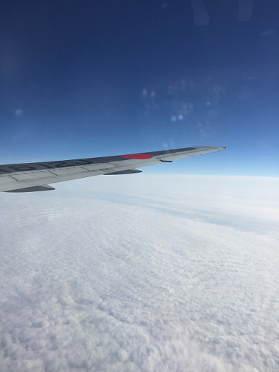 f0150620_13534454.jpg