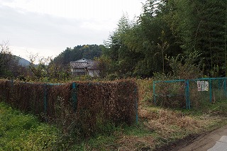 f0190020_7491189.jpg