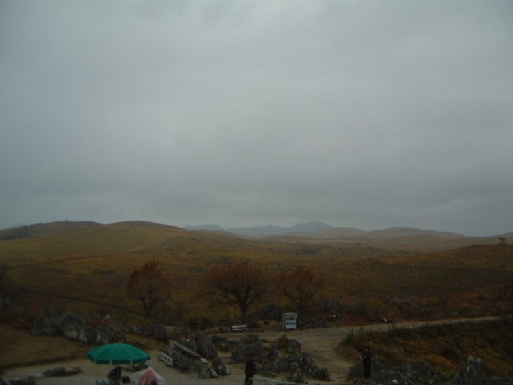 c0074721_15192095.jpg