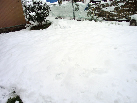 d0066822_13445656.jpg