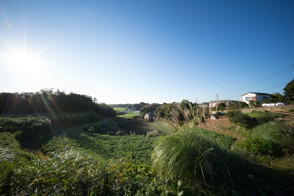 d0161322_20392411.jpg