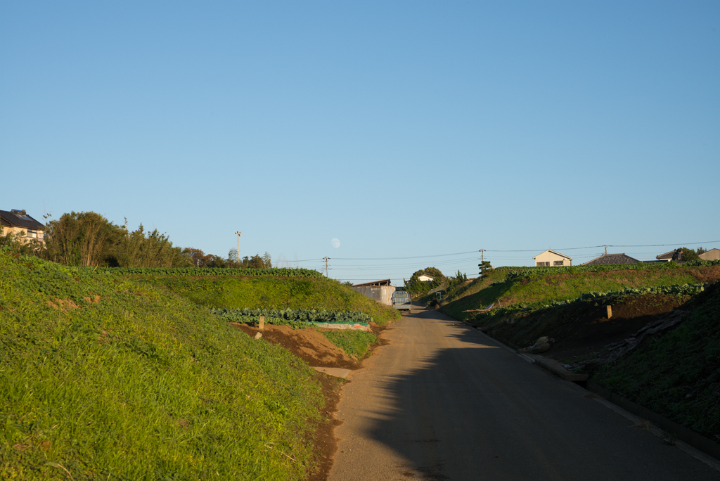 d0161322_20392838.jpg