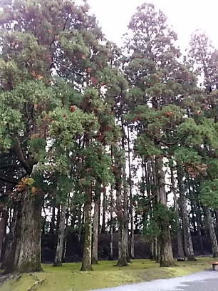 f0354923_00575808.jpg