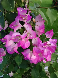 f0354923_01472431.jpg