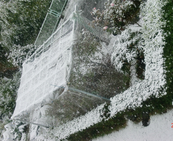 f0354923_09420022.jpg