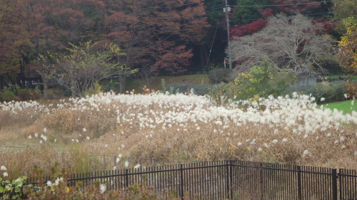 b0057924_15045059.jpg