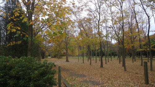 b0057924_15052795.jpg
