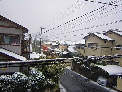 d0065324_1323318.jpg
