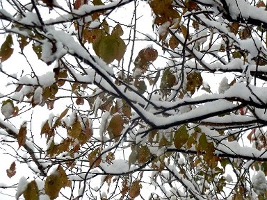 e0234924_11160352.jpg