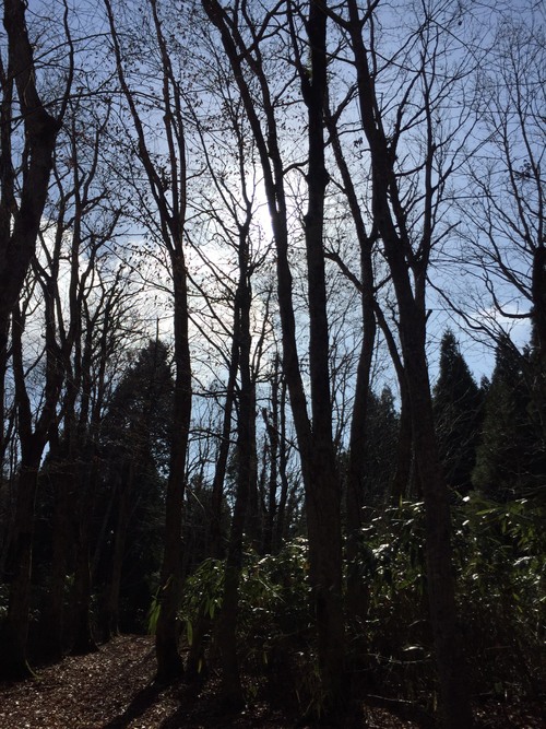 c0126526_122131100.jpg