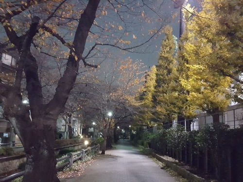 他人の世界に心を開く 申京淑「離れ部屋」_e0016828_09332324.jpg