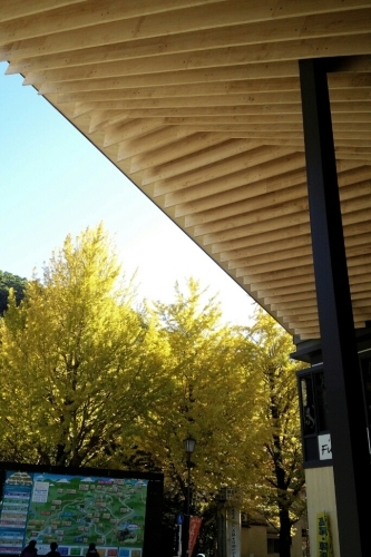 a0024829_15075774.jpg
