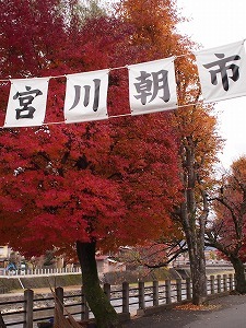 a0148431_00071492.jpg