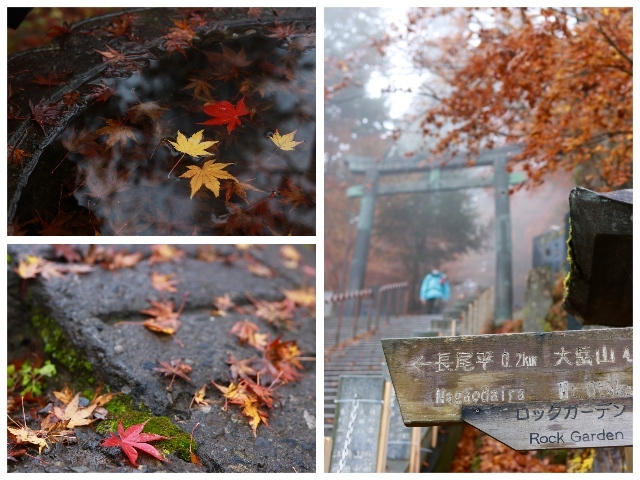 御岳山〜日の出山ハイキング part 1_f0348831_18114923.jpg