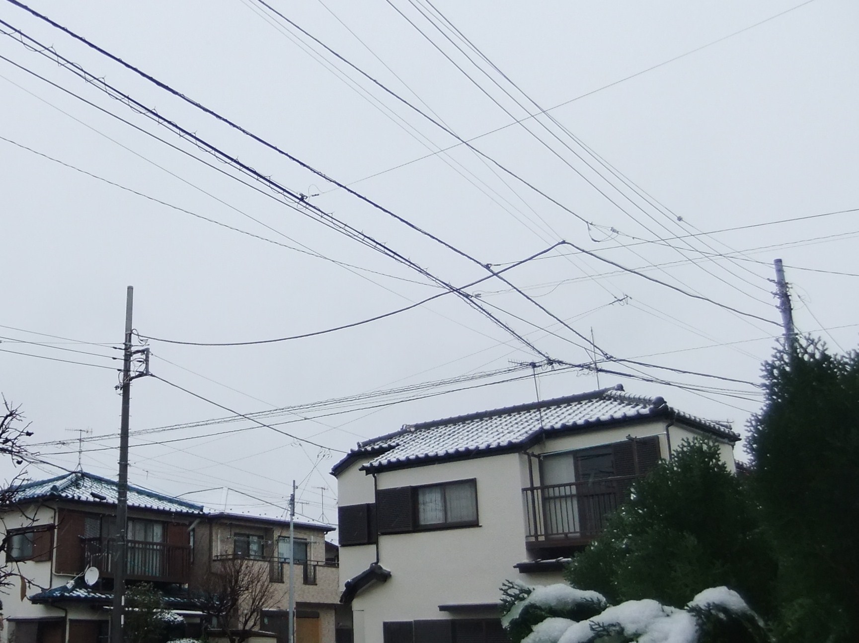 初雪に..驚き!_b0137932_16304898.jpg