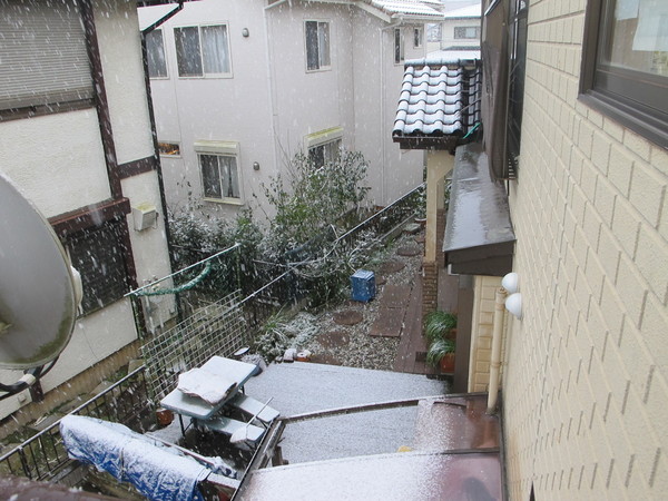 b0164132_1283693.jpg