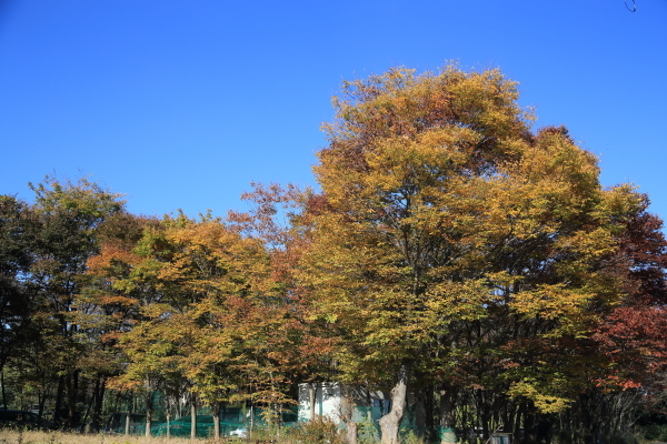 f0229832_08282912.jpg