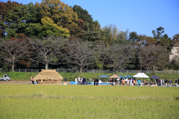 f0229832_08294550.jpg